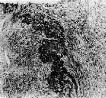 ��ϸ���Զ�����