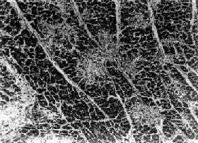 ��ɽ��֮�ļ�