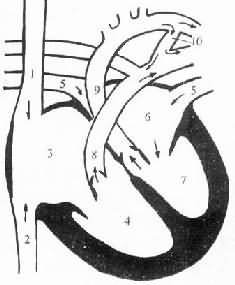 ��������δ��ģʽͼ