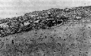 ��ŧ����Ĥ��