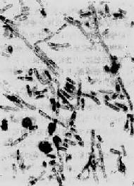 θ�������